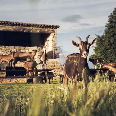 Le Domaine Du Castellas Sivergues Kültér fotó